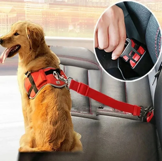 Voyage en voiture avec son chien : les 7 règles de sécurité essentielles