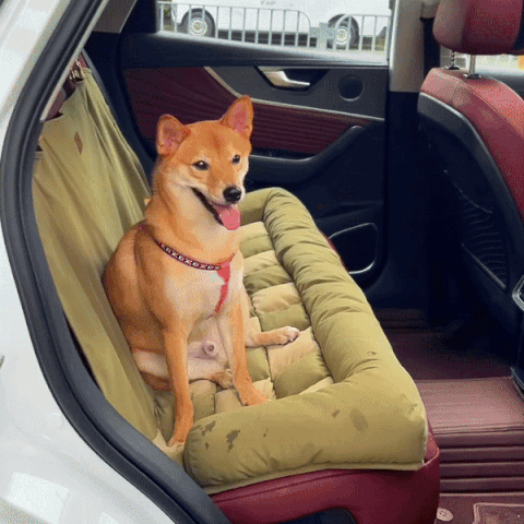 Housse de Protection Voiture pour Chien