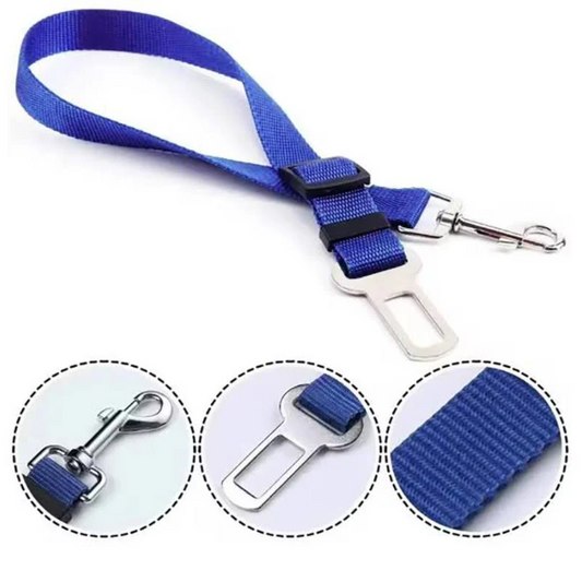Ceinture de sécurité pour chien – Voyagez en toute sérénité 🚗🐶