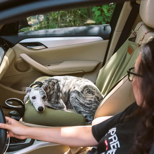 Housse de Protection Voiture pour Chien petit